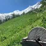Chalet Birkhahn *