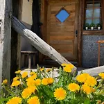 Birkhahn Saas-Fee