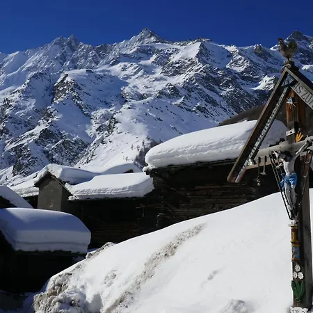 Birkhahn Saas-Fee