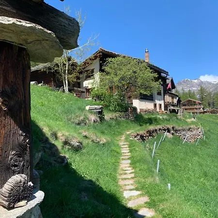 Chalet Châlet Birkhahn *