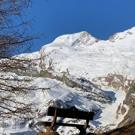 Birkhahn * Saas-Fee