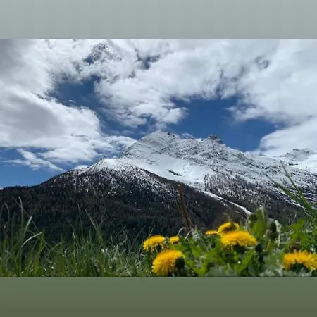 Alpesi faház Birkhahn