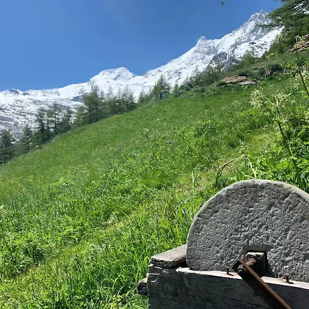 Alpesi faház Birkhahn *