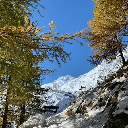 Alpesi faház Birkhahn Saas Fee