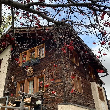 Birkhahn Saas-Fee