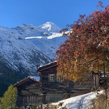Châlet Birkhahn Chalet Saas Fee
