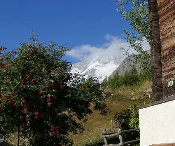Birkhahn Alpesi faház Saas Fee