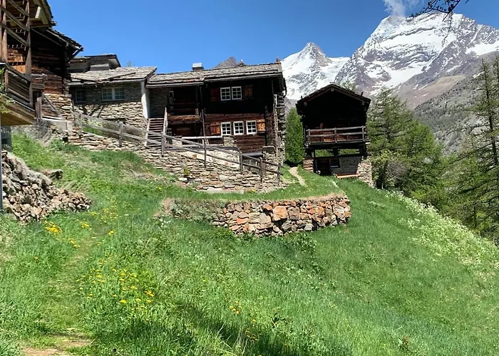 Birkhahn * Saas Fee