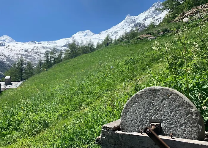 Alpesi faház Birkhahn *