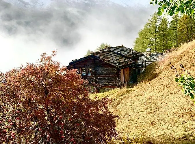 Alpesi faház Birkhahn