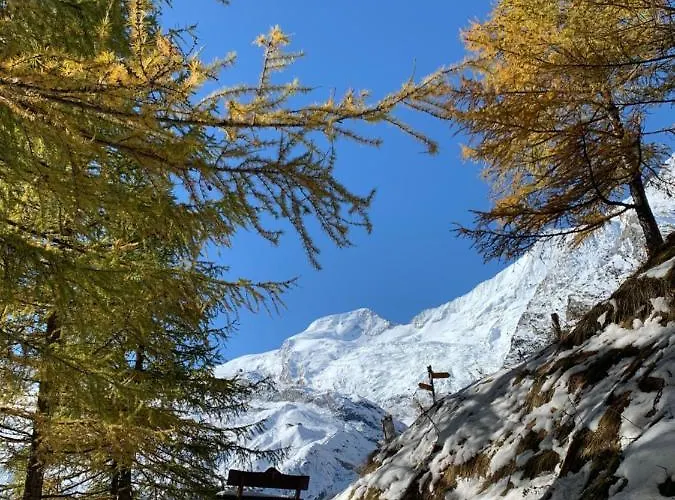 Chalé Châlet Birkhahn Saas Fee