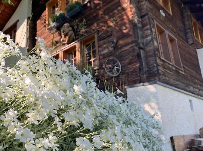 Chalé Châlet Birkhahn Saas Fee