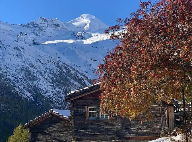 Birkhahn Alpesi faház Saas Fee