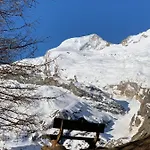 Birkhahn * Зас-Фе