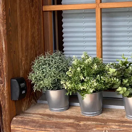 木屋 Birkhahn 萨斯费