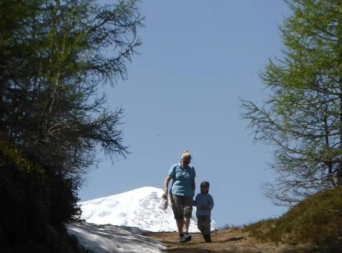 Birkhahn 木屋 萨斯费