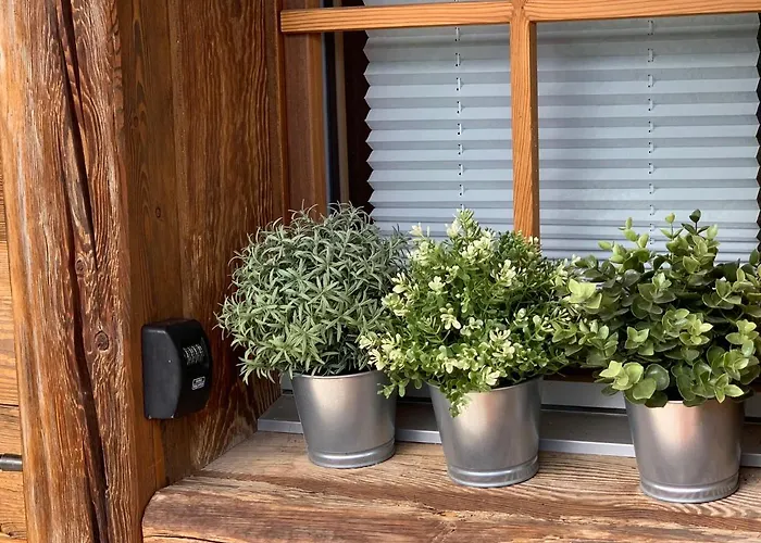 木屋 Birkhahn 萨斯费