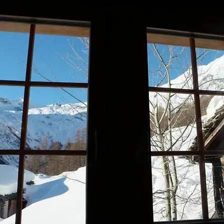 Birkhahn Alpehytte Saas Fee