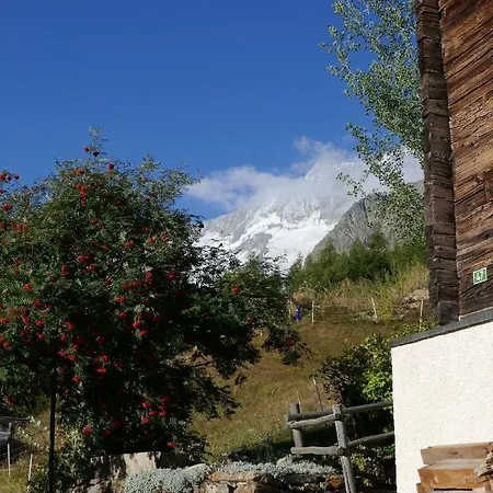 Birkhahn Alpehytte Saas Fee