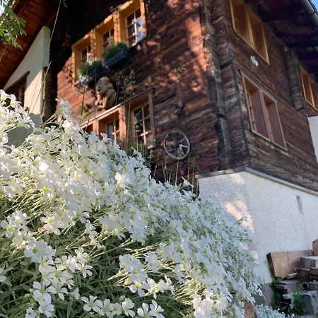 Alpehytte Birkhahn Saas Fee